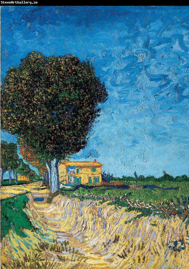 Vincent Van Gogh Avenue bij Arles